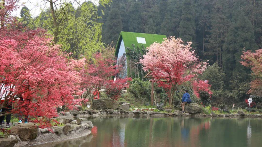 涉及您的衣食住行!海口发布春节假期消费提示