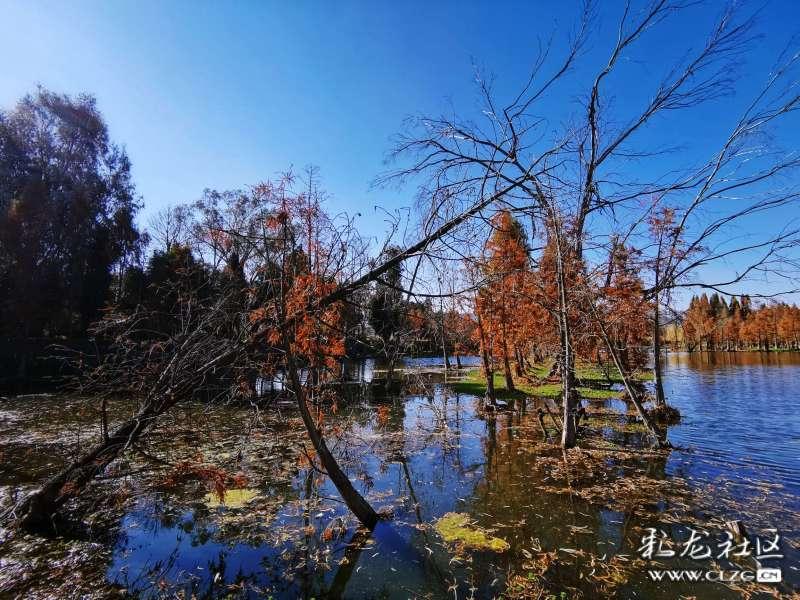 无人的神秘村