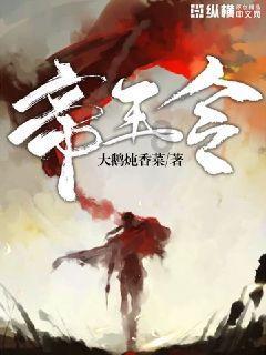 跨越山海奔共富 瑞苍高速主线隧道贯通