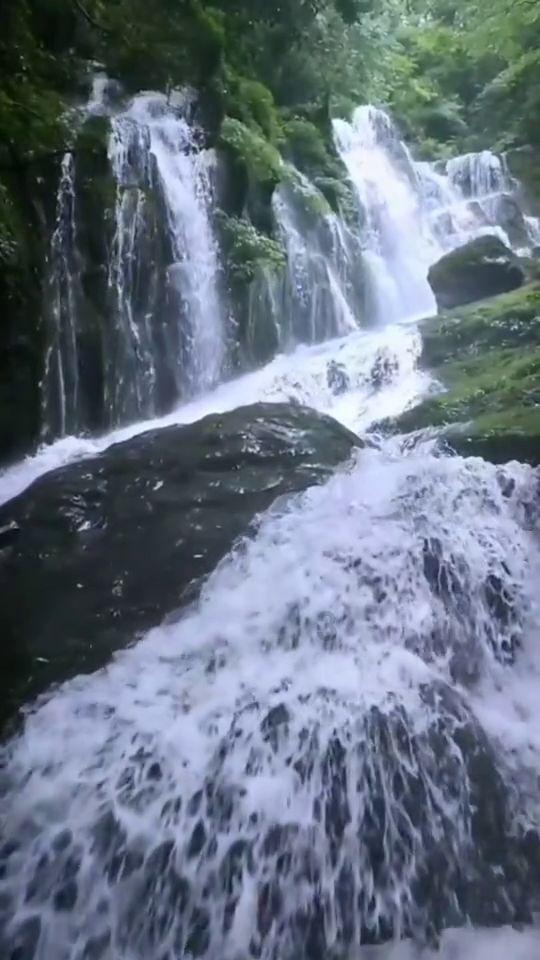 塔防三国志