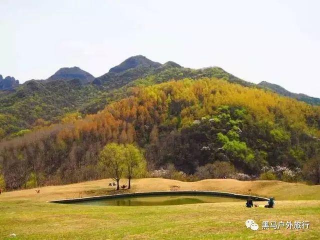 装修房子，是用木地板好呢？还是地板砖好?游戏画面