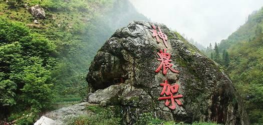 救援小棕兔