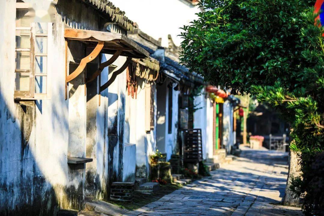 勿忘我