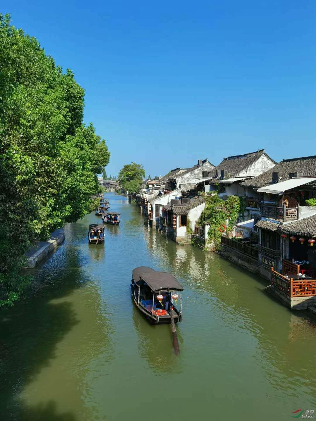 疯狂点击汉堡