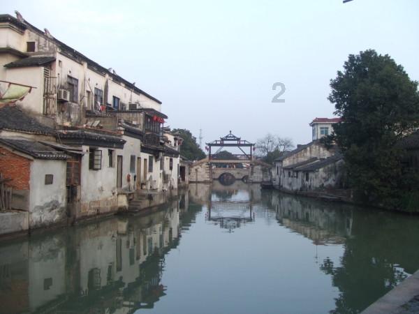 泡沫森林